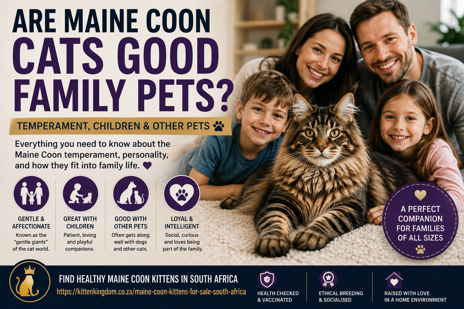 Are Maine Coon Cats Good Family Pets? Temperament, Children & Other Pets?